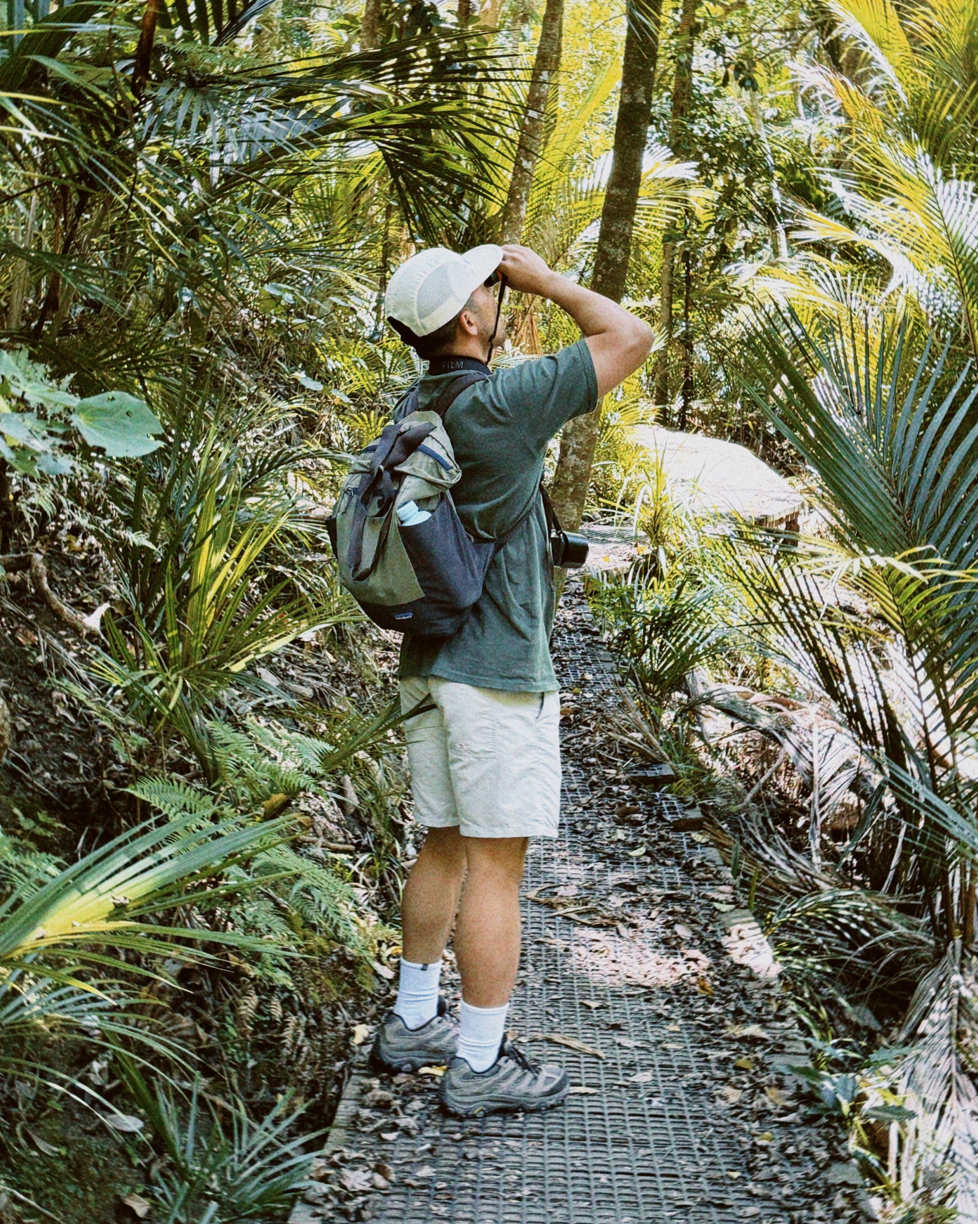 Birdwatcher using binoculars on a forest track