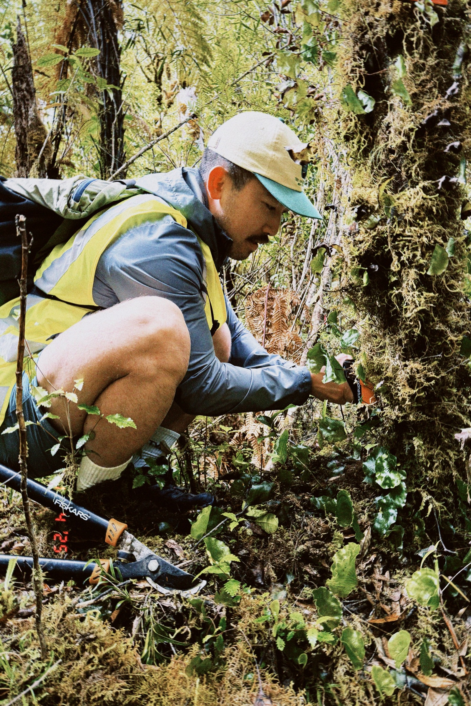 A volunteer setting a trap in the forest