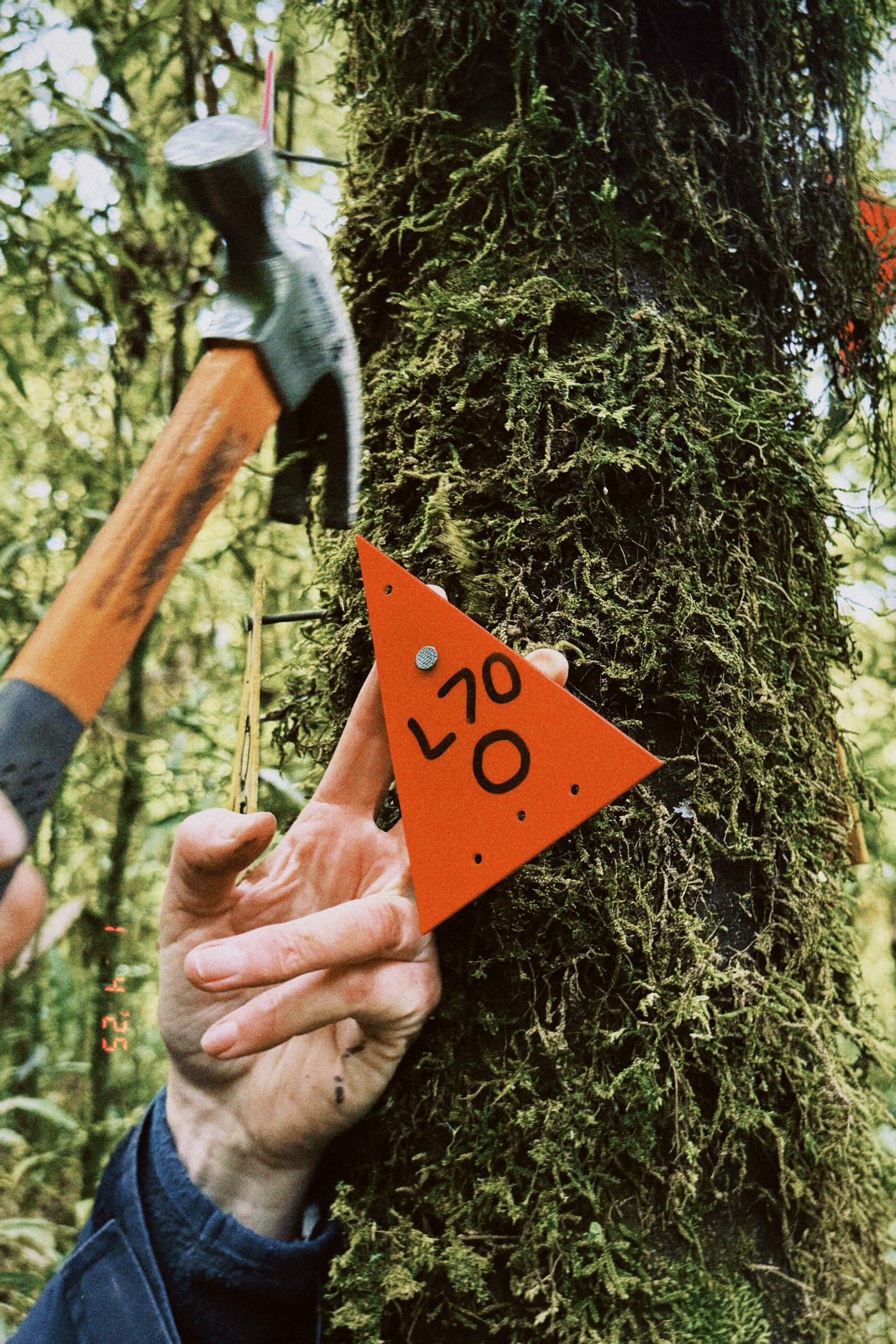 A numbered orange marker fixed to a tree